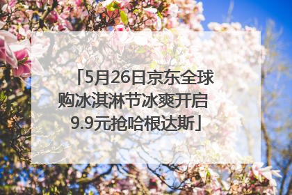 5月26日京东全球购冰淇淋节冰爽开启 9.9元抢哈根达斯