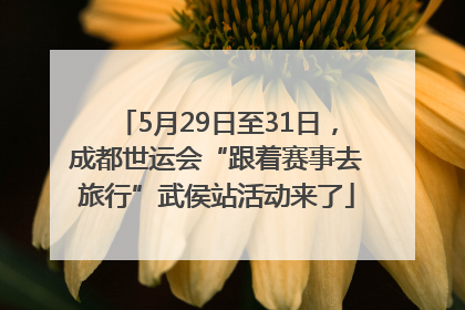 5月29日至31日，成都世运会“跟着赛事去旅行”武侯站活动来了