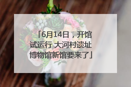 6月14日，开馆试运行 大河村遗址博物馆新馆要来了