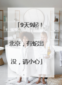 9天9起！北京，有蛇出没，请小心