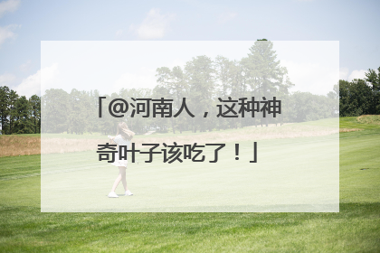@河南人，这种神奇叶子该吃了！