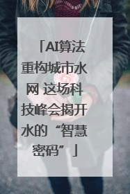 AI算法重构城市水网 这场科技峰会揭开水的“智慧密码”