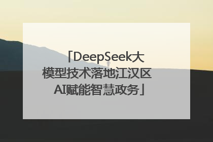 DeepSeek大模型技术落地江汉区 AI赋能智慧政务