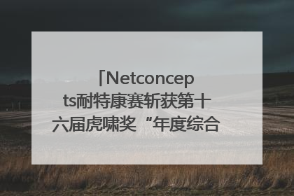 Netconcepts耐特康赛斩获第十六届虎啸奖“年度综合服务商”大奖