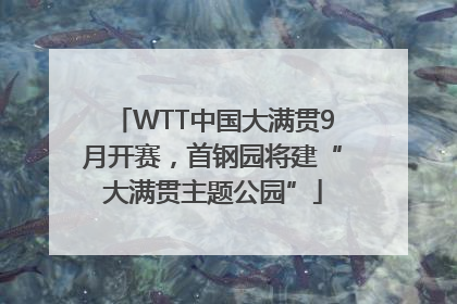 WTT中国大满贯9月开赛，首钢园将建“大满贯主题公园”